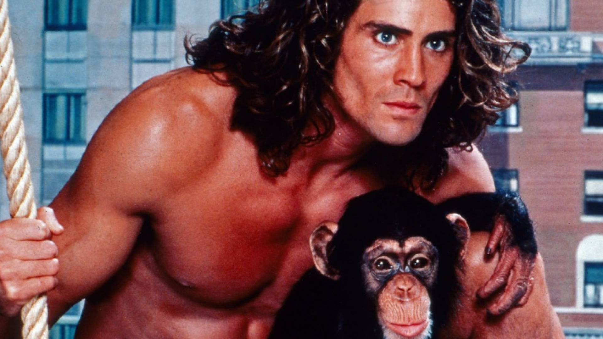 النجم الأمريكي جوي لارا