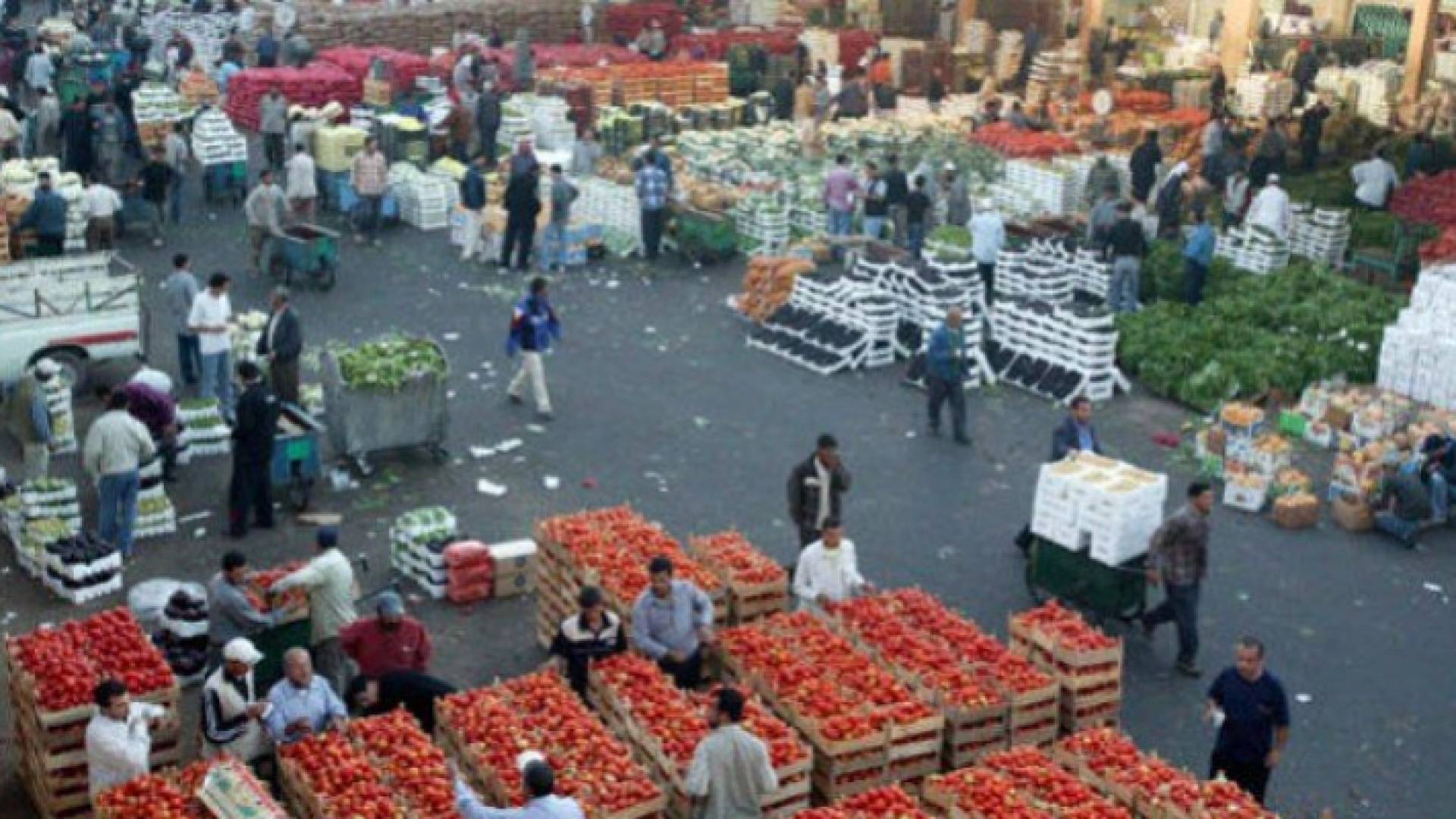 نقيب تجار الخضار والفواكة يؤكد " القطاع في أسوأ حال"