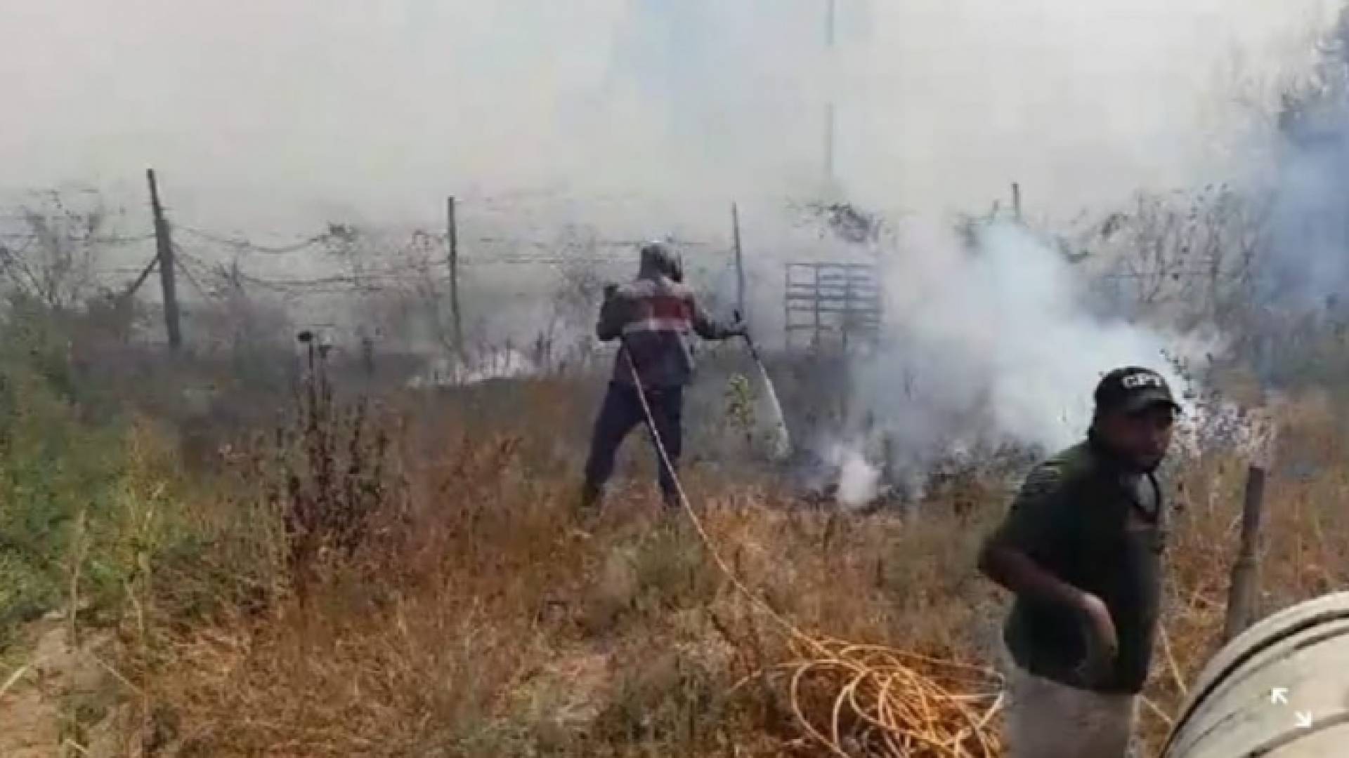 الدفاع المدني يحول دون امتداد حريق من الأراضي الفلسطينية للأردن