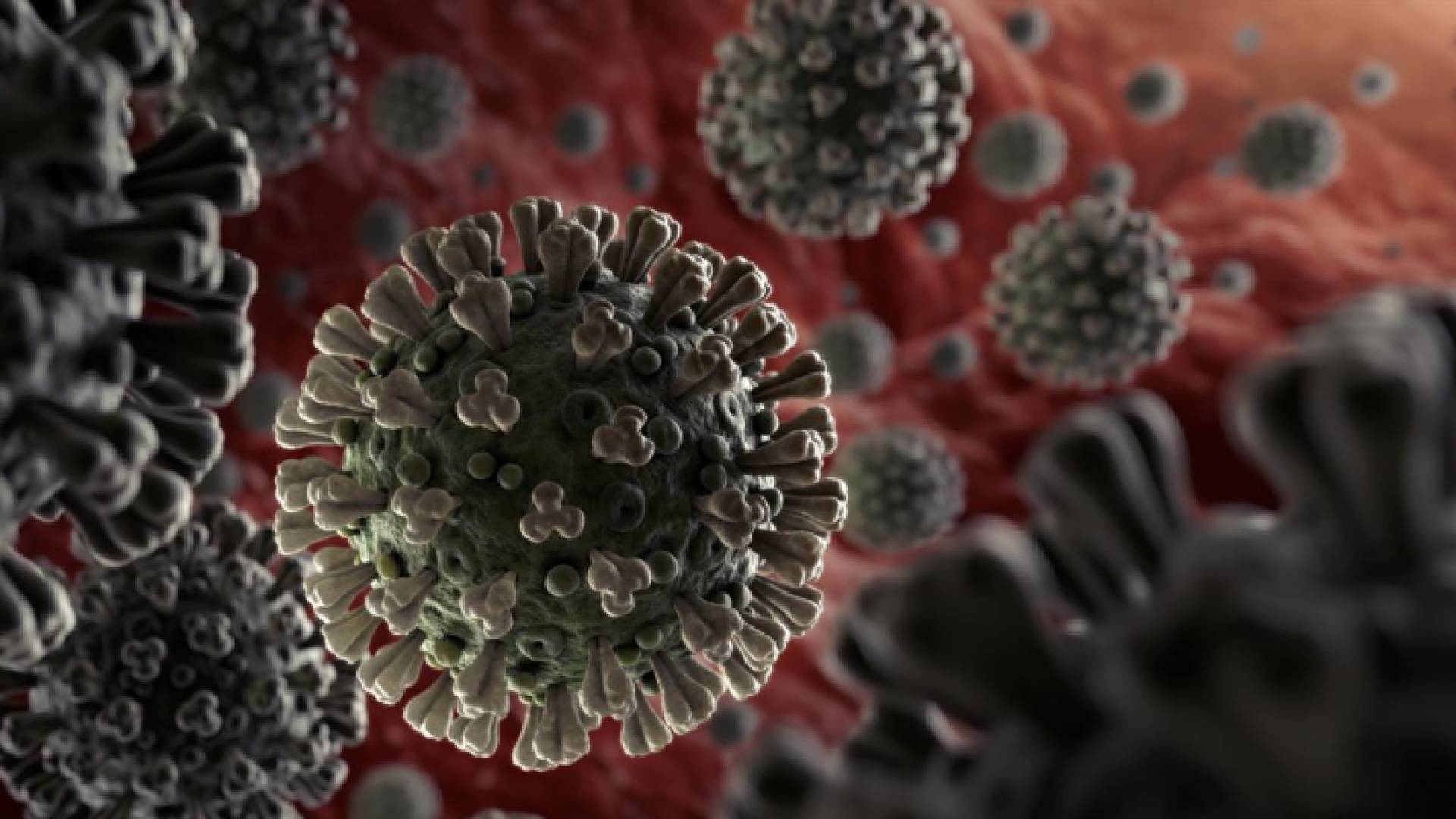 الإصابات 170 مليونا والوفيات 3.5 واللقاحات 2 مليار