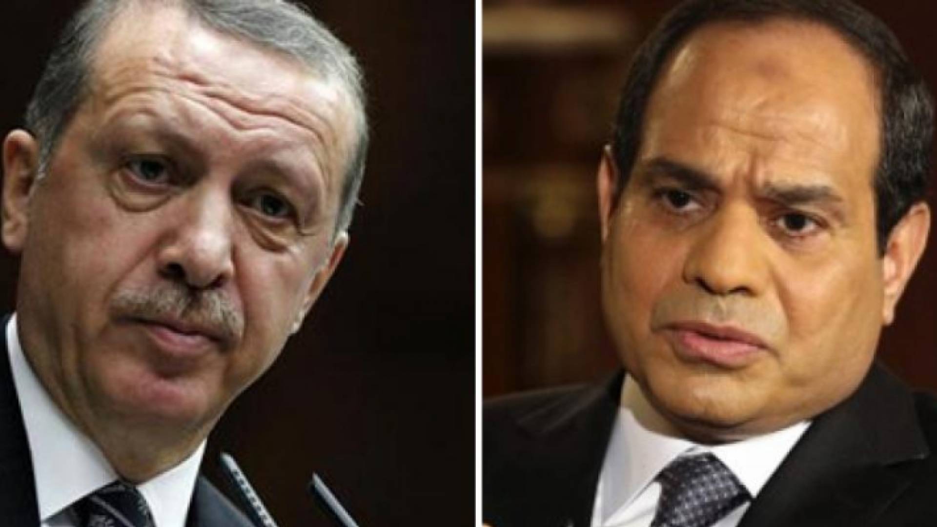 السيسي وأردوغان - صورة مركبة