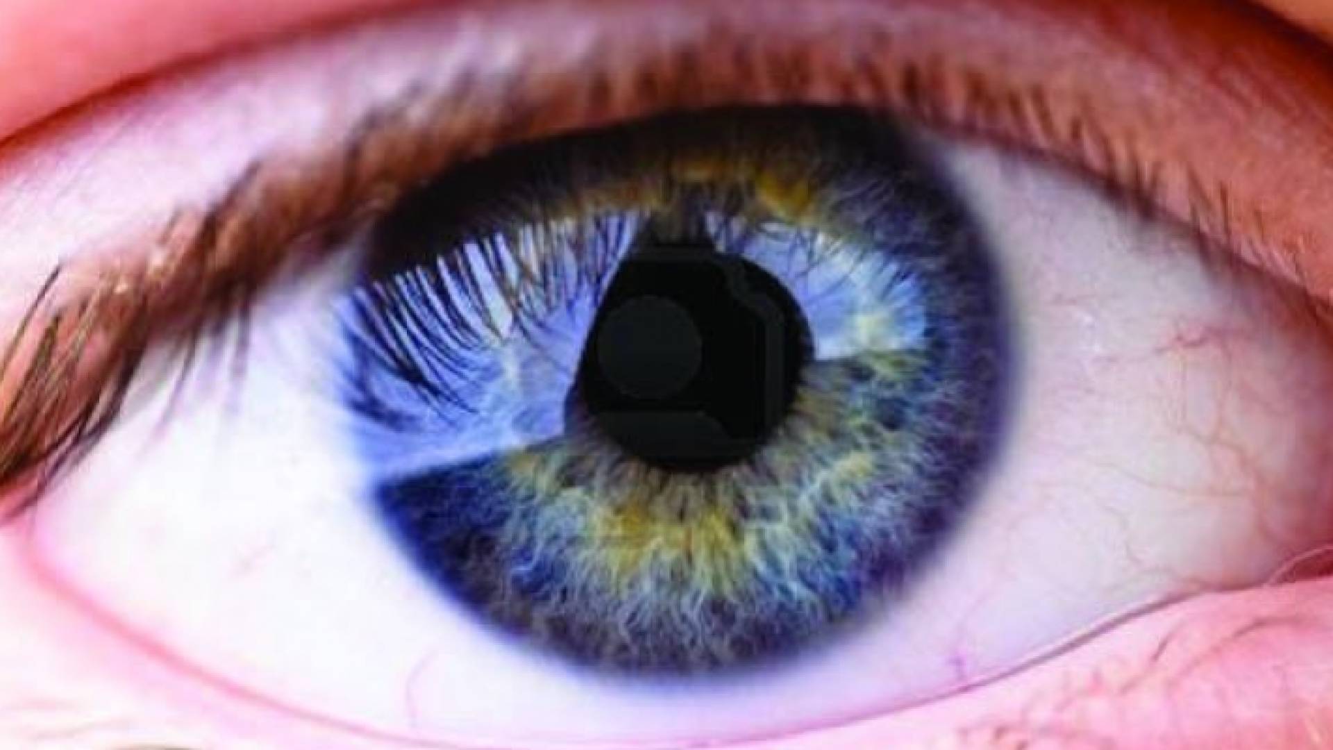 الأردنيون يتبرعون بنحو 3 آلاف قرنية خلال 15 عاما