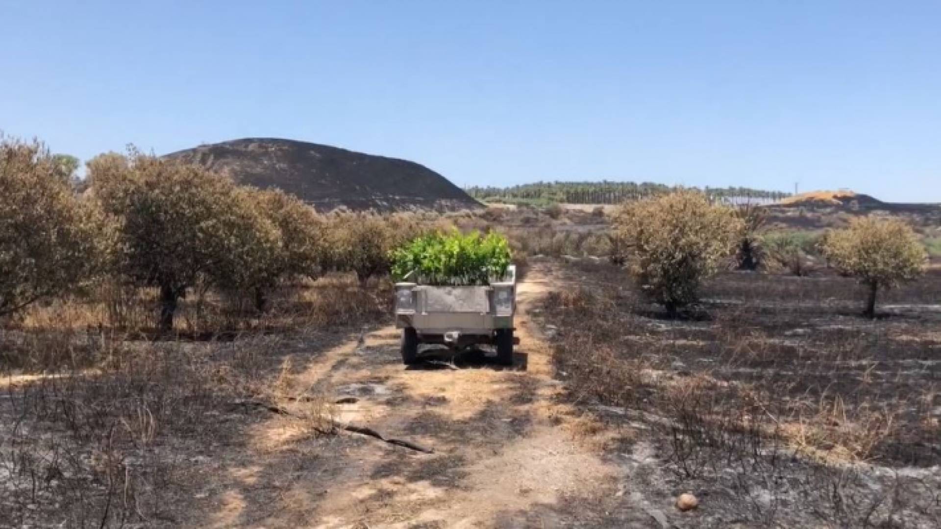 الصورة من مكان الحريق