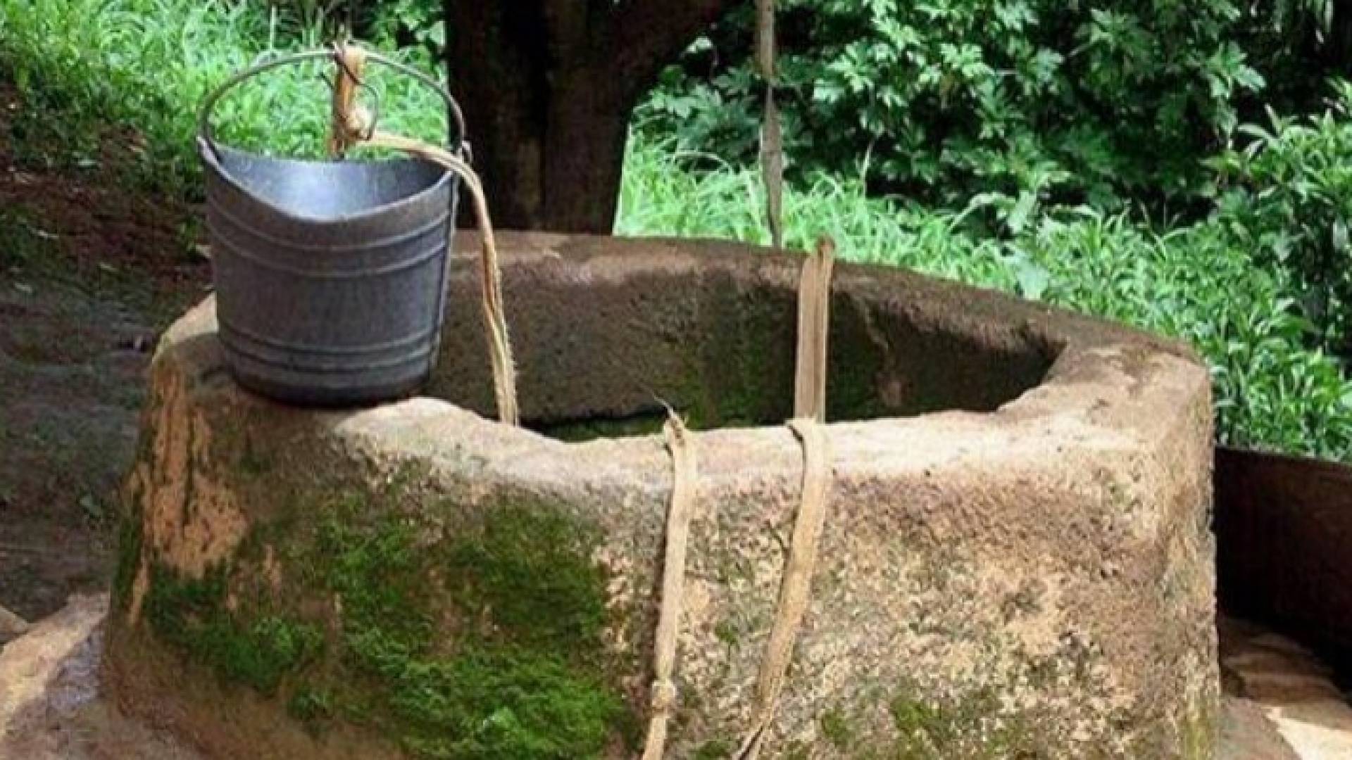 الصورة تعبيرية