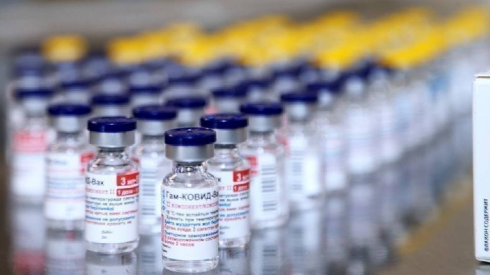 لقاحات كورونا