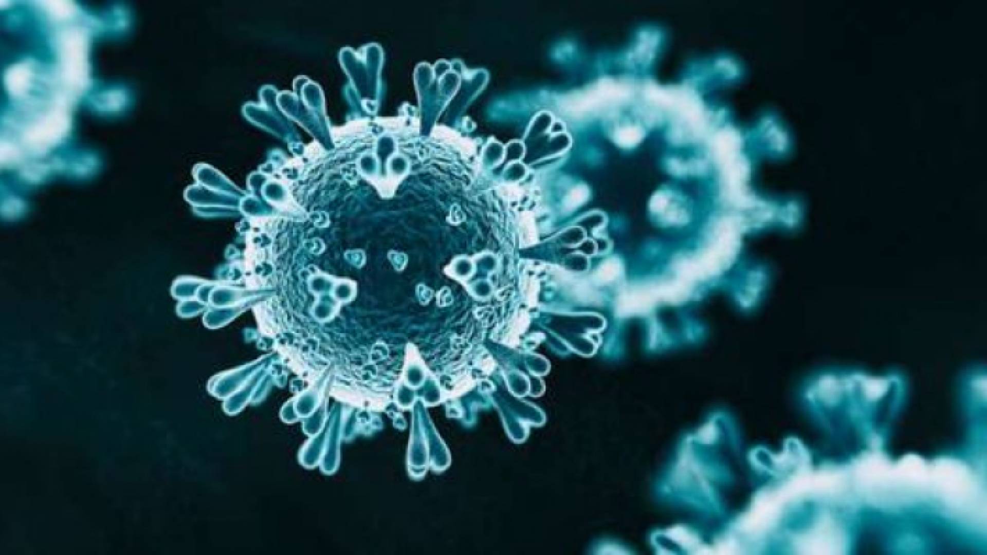 الصورة تعبيرية