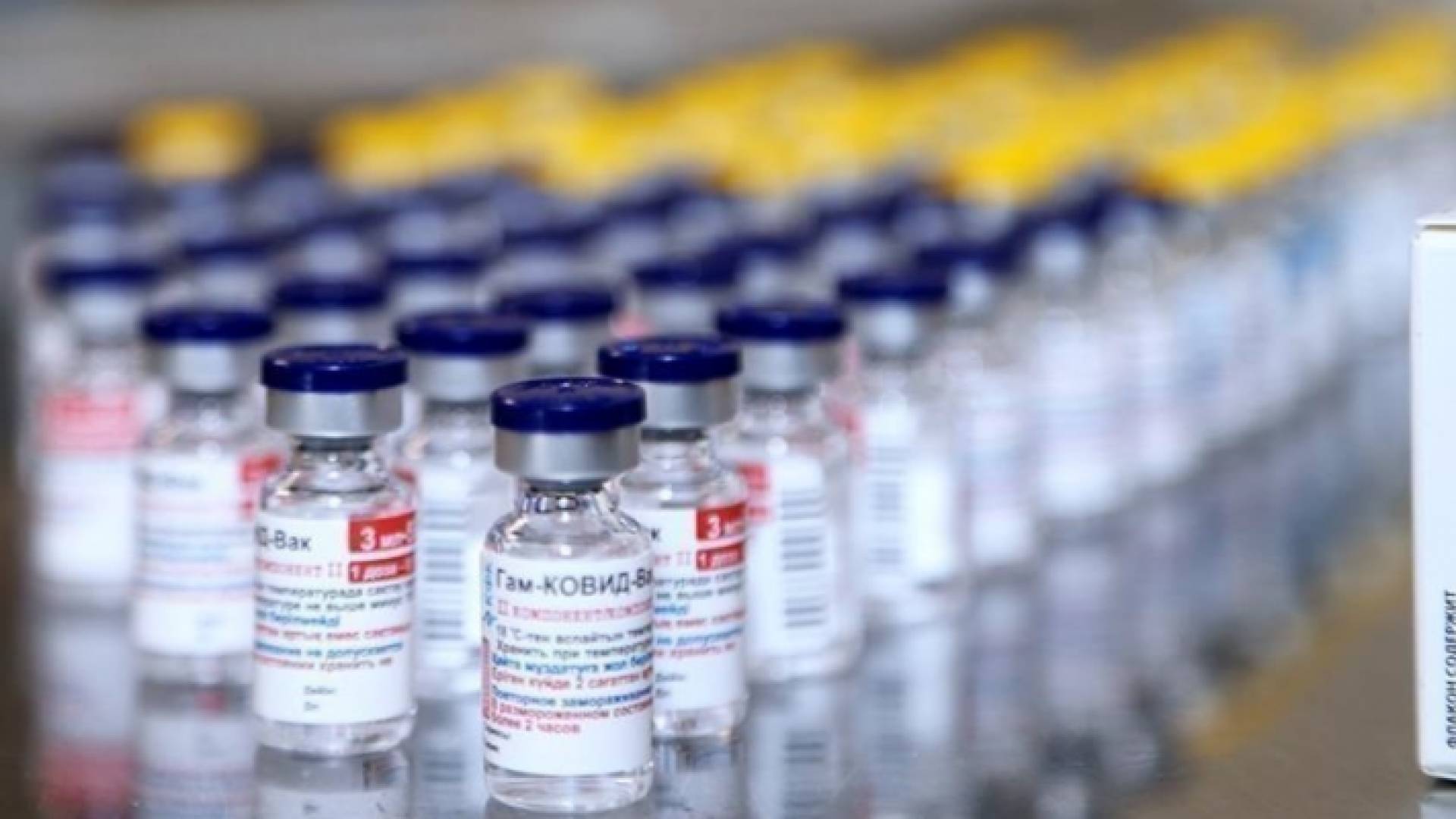 لقاحات - تعبيرية