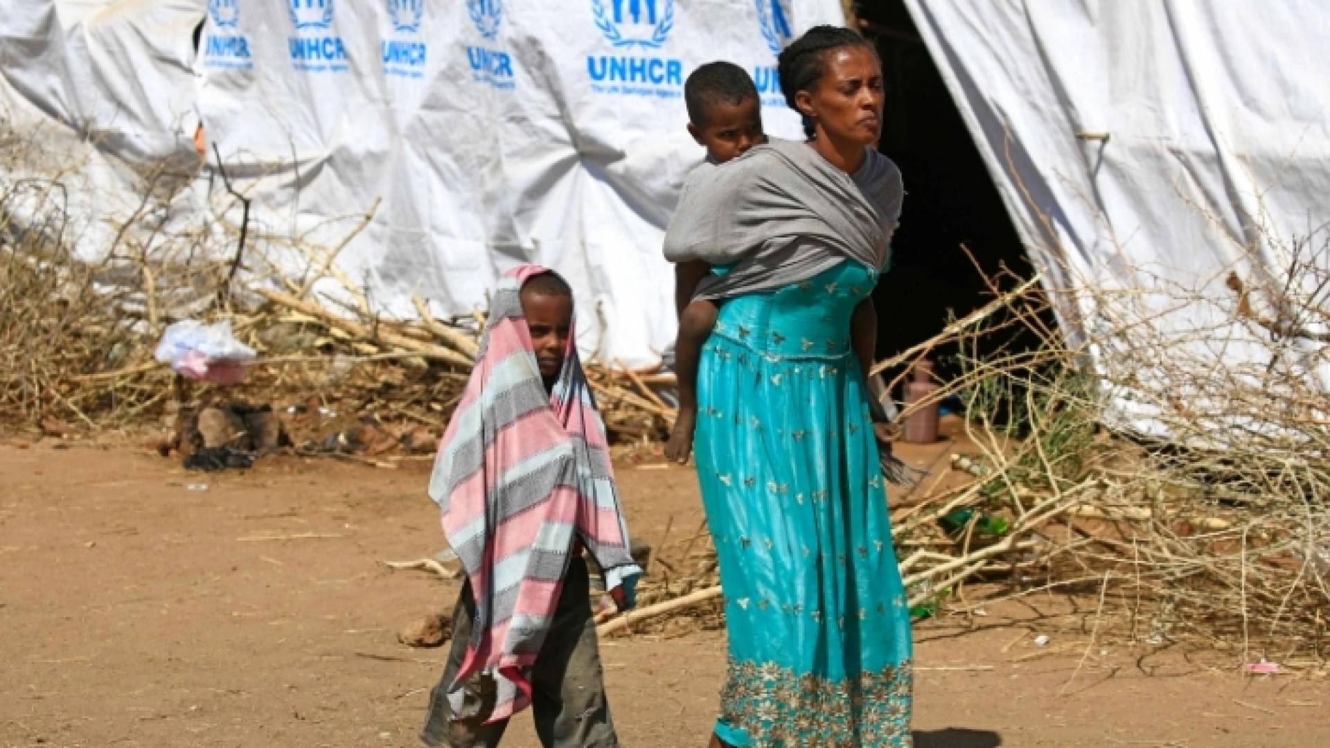 مئات الآلاف من الأشخاص شمالي إثيوبيا في ظروف مجاعة