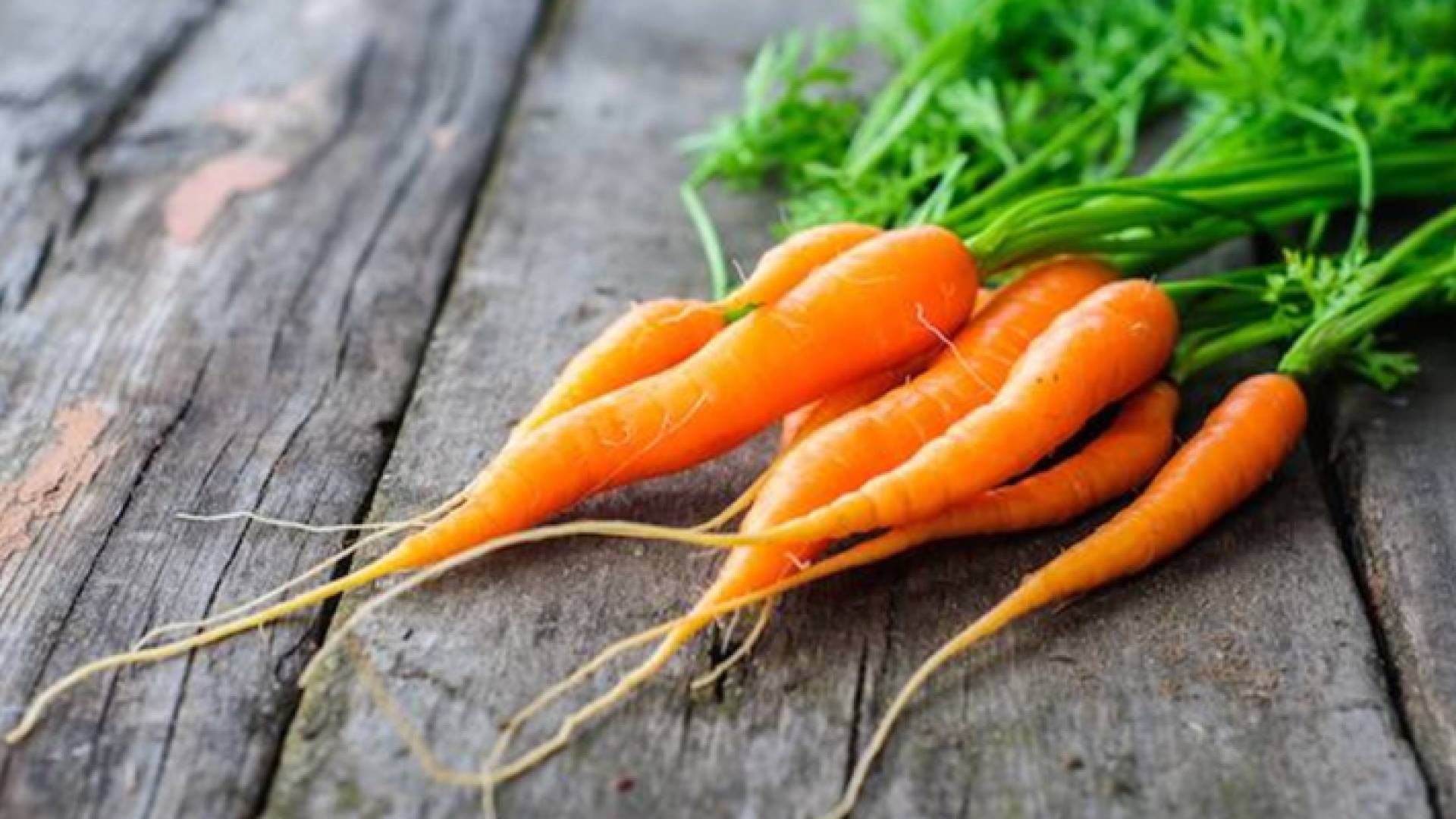 جزر - تعبيرية