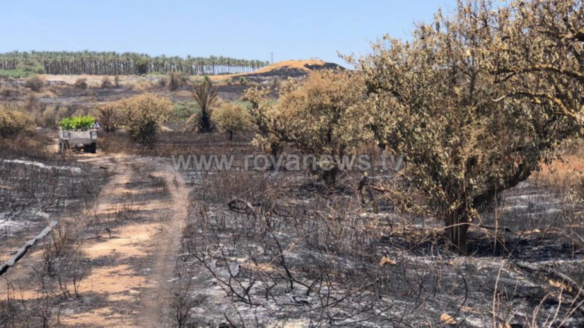 جانب من حرائق الاغوار الشمالية