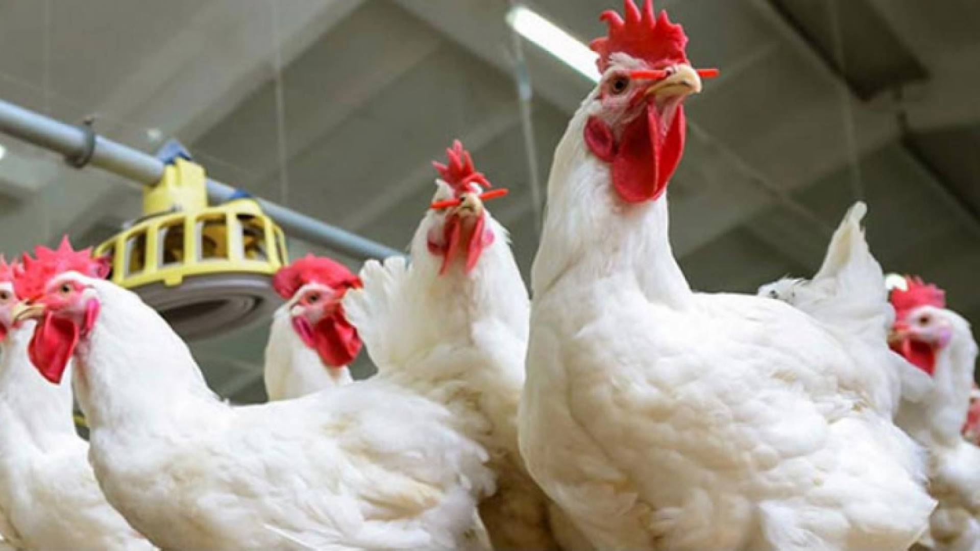 الصورة تعبيرية