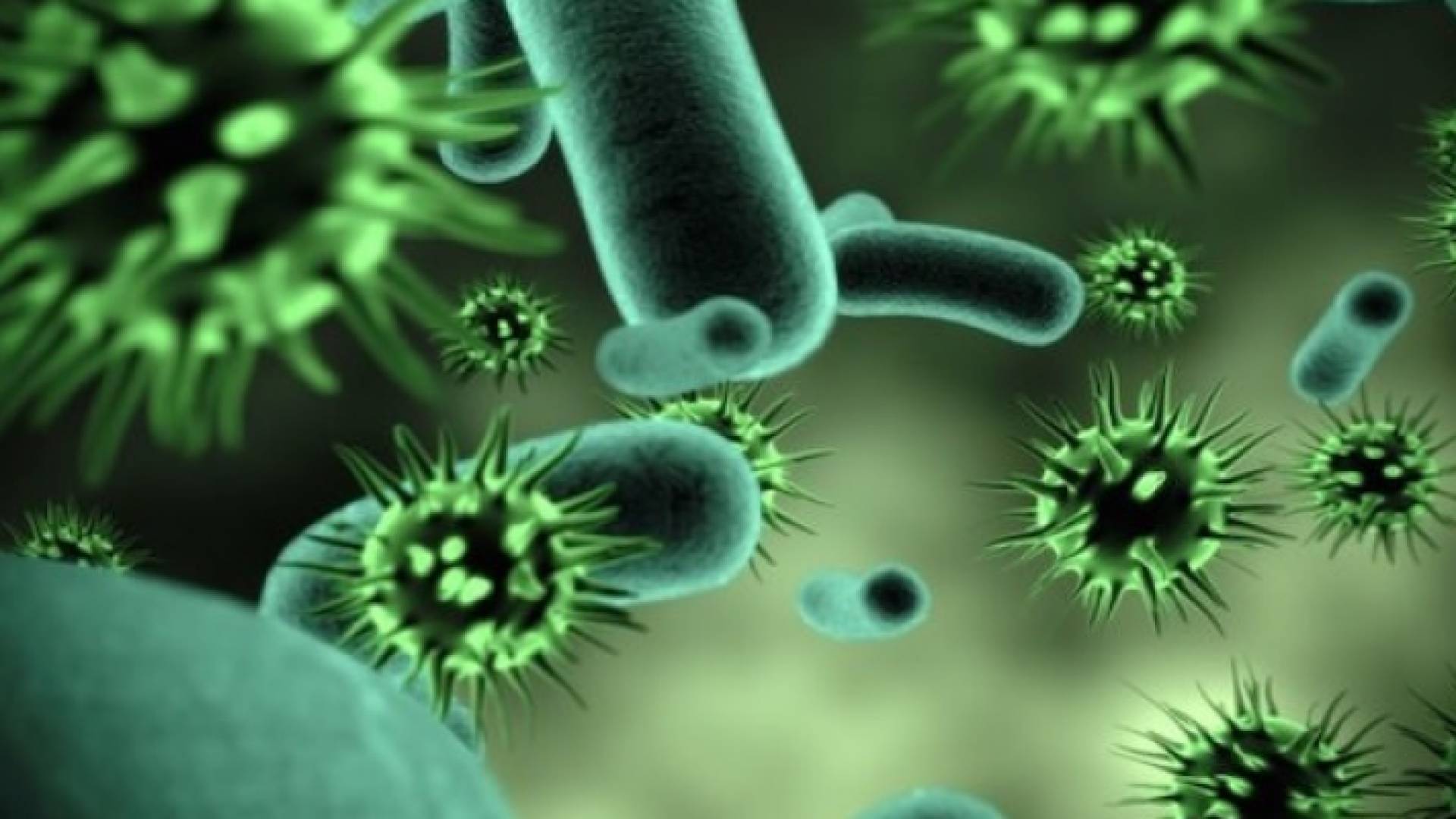 تعبيرية لفيروس هانتا