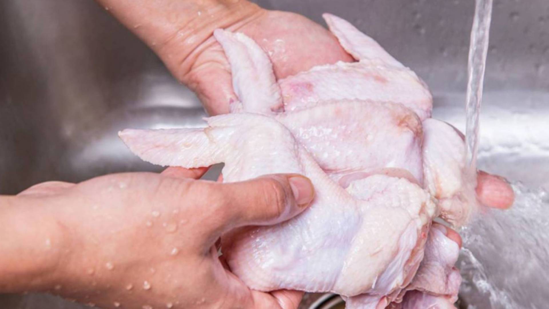 دجاج - ارشيفية