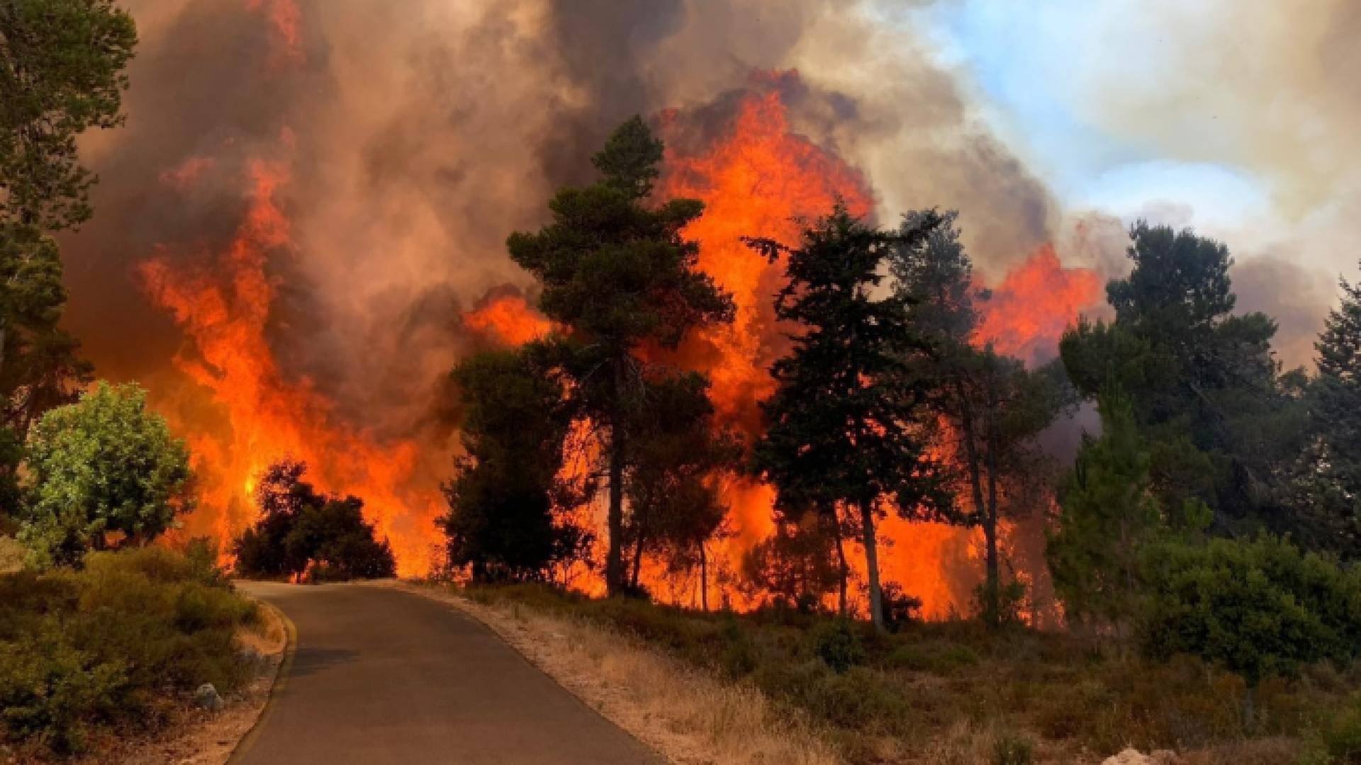 جانب من الحريق