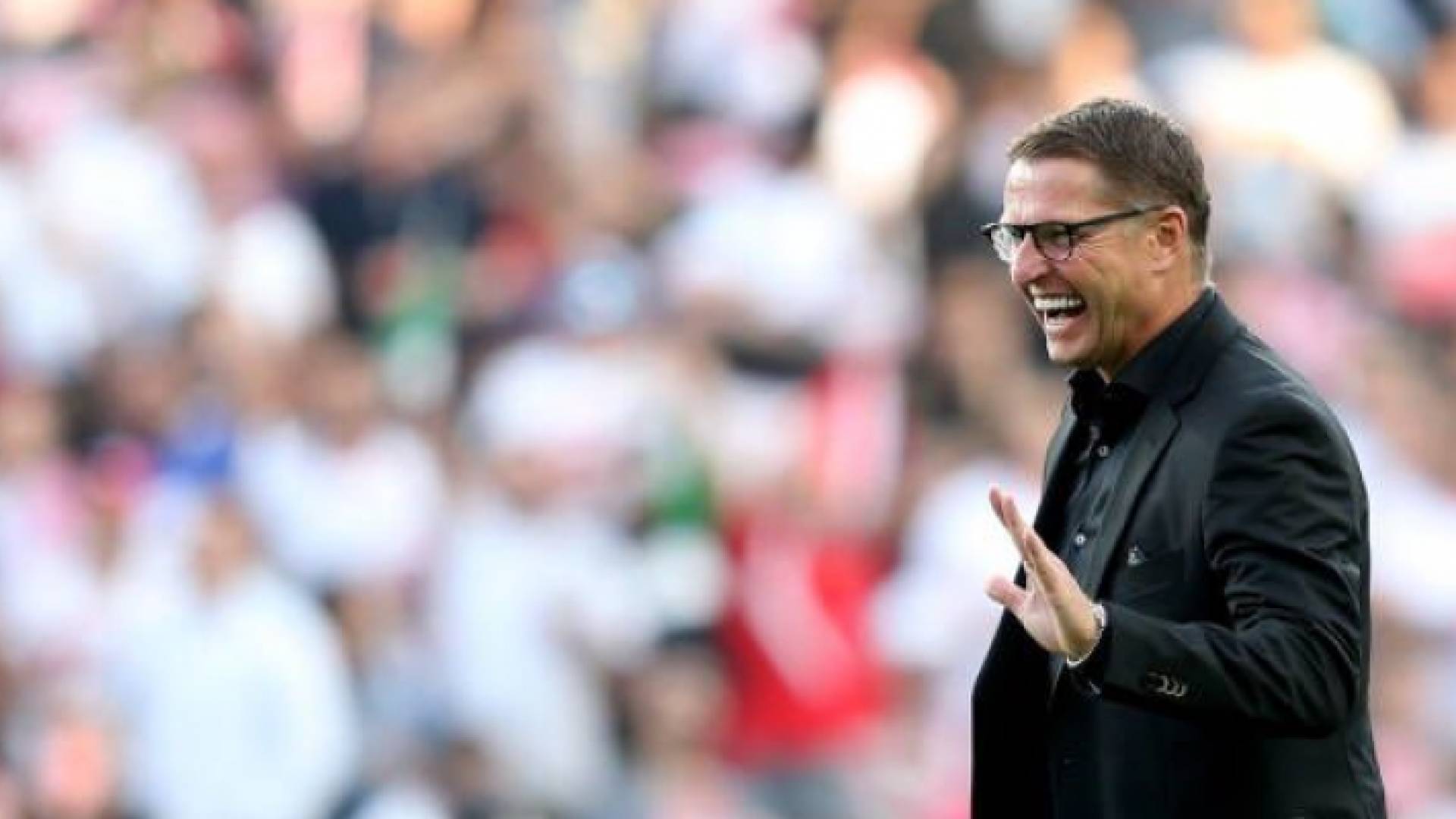 فيتال بوركلمانز، المدير الفني للمنتخب الوطني لكرة القدم