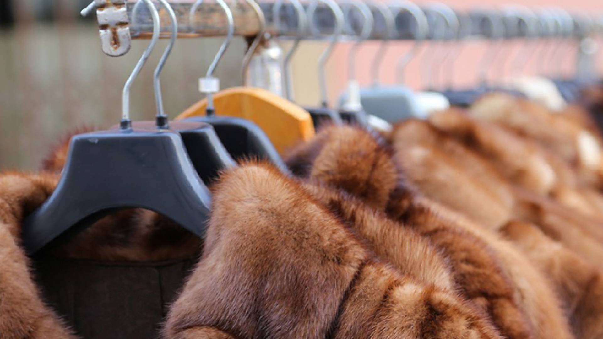 تجارة الفراء لأغراض الأزياء