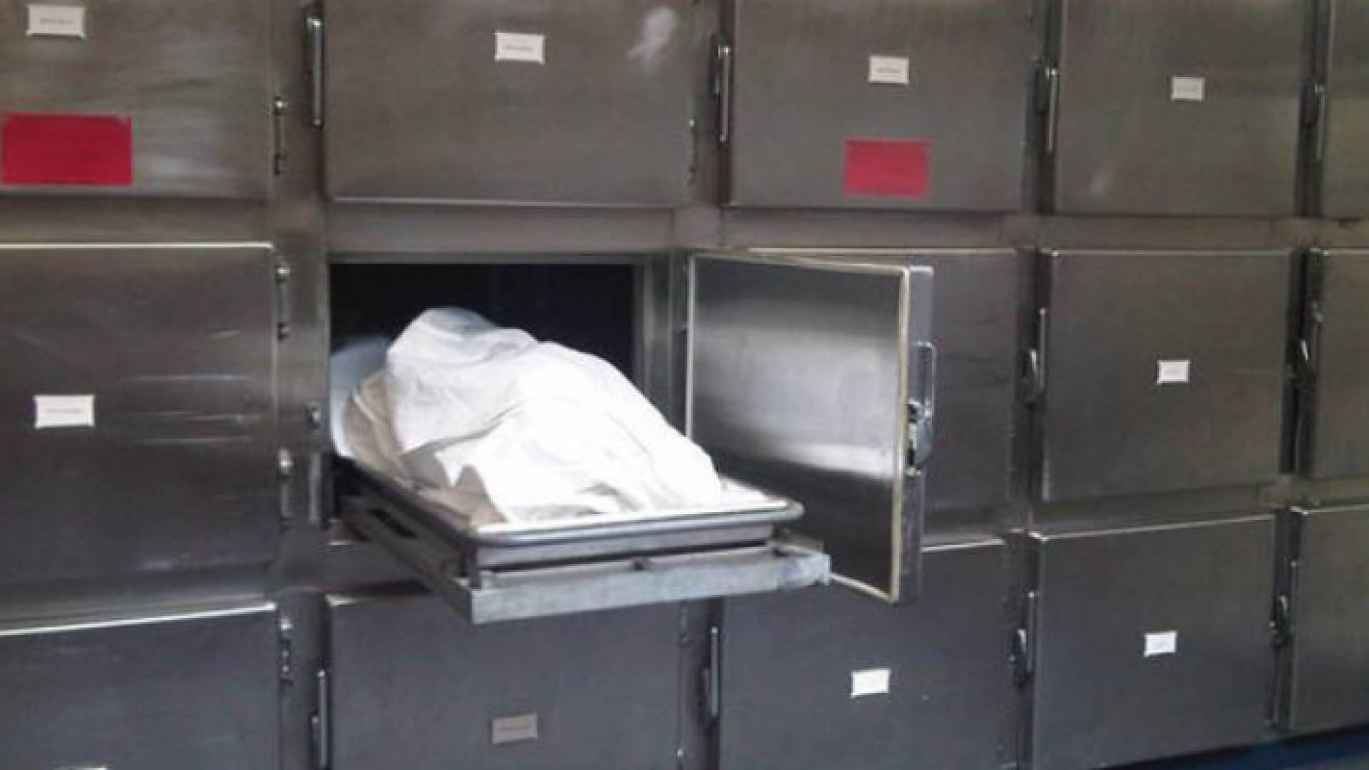 الصورة تعبيرية