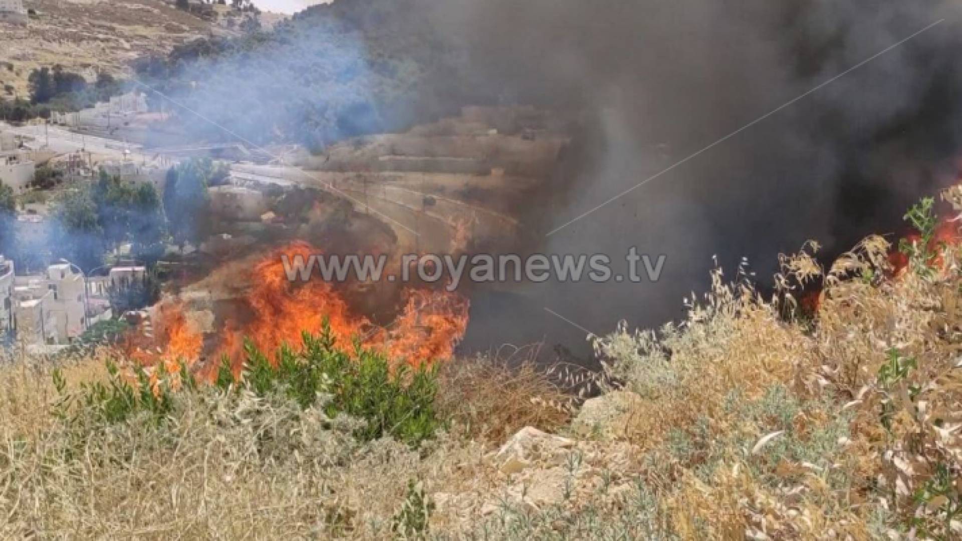 الصورة من الحريق