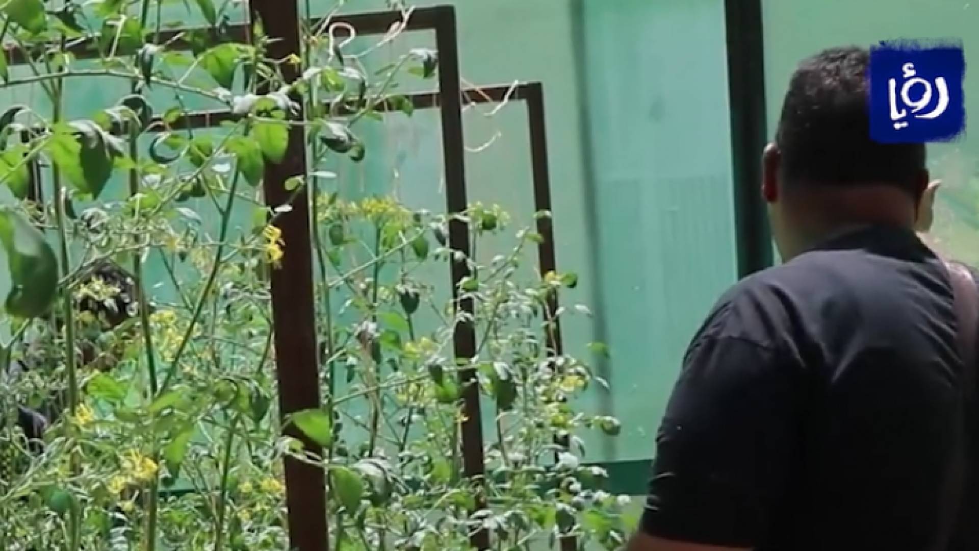 مشروع في مخيم غزة يوفر 85 بالمئة من المياه المستهلكة في الري