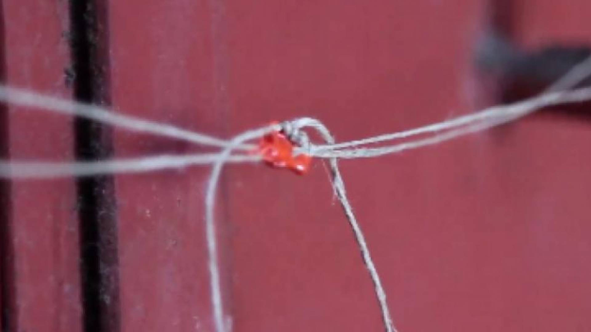 إغلاق ملحمتين وإنذار 11 محلا مخالفا في كفرنجة