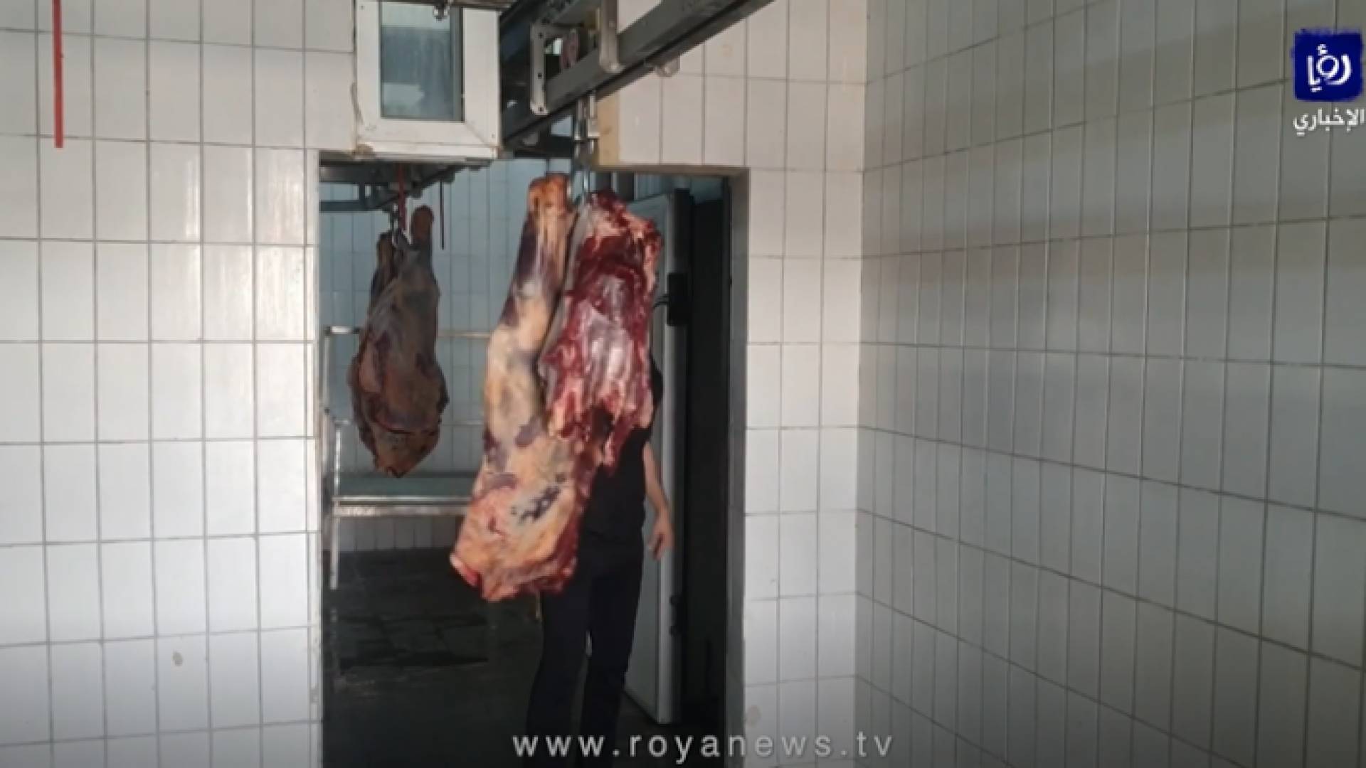 مسلخ بلدية اربد