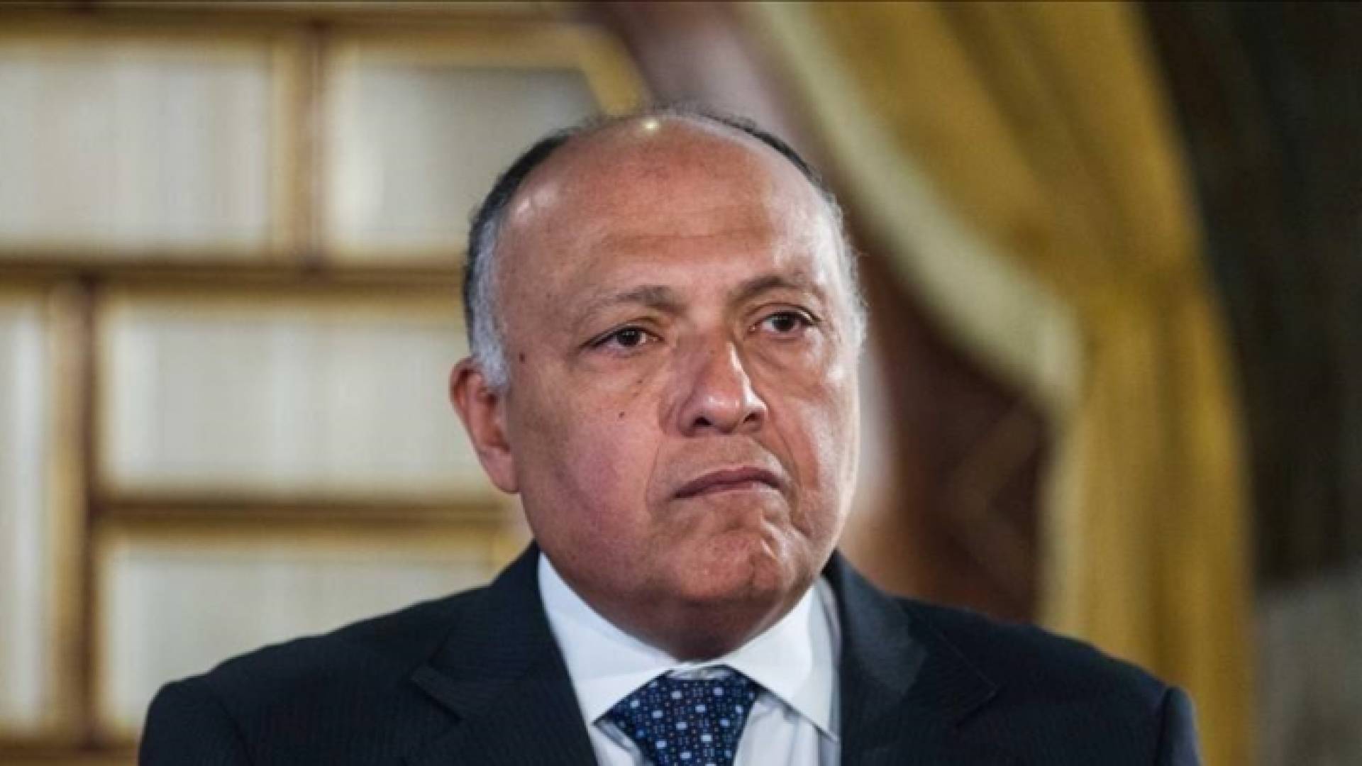 وزير الخارجية المصري سامح شكري - ارشيفية