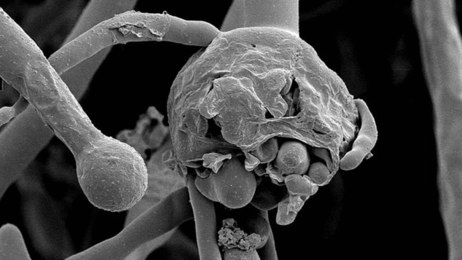 الصورة تعبيرية