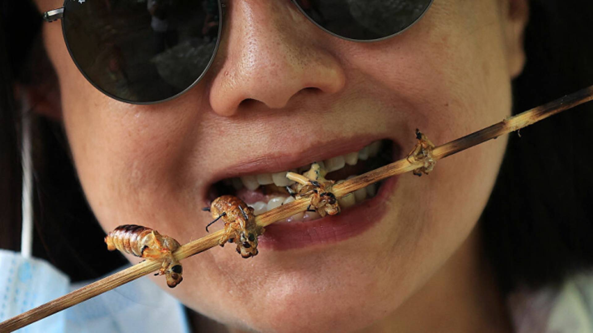 سيدة أمريكا تتنازل حشرة السيكادا