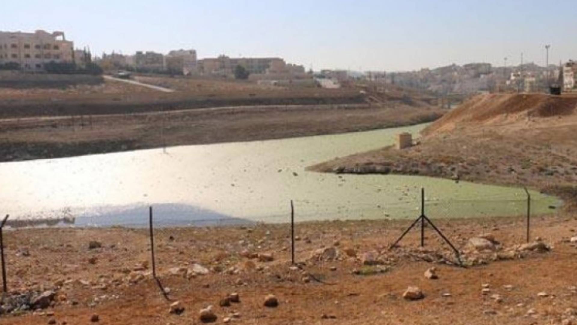 بركة البيبسي