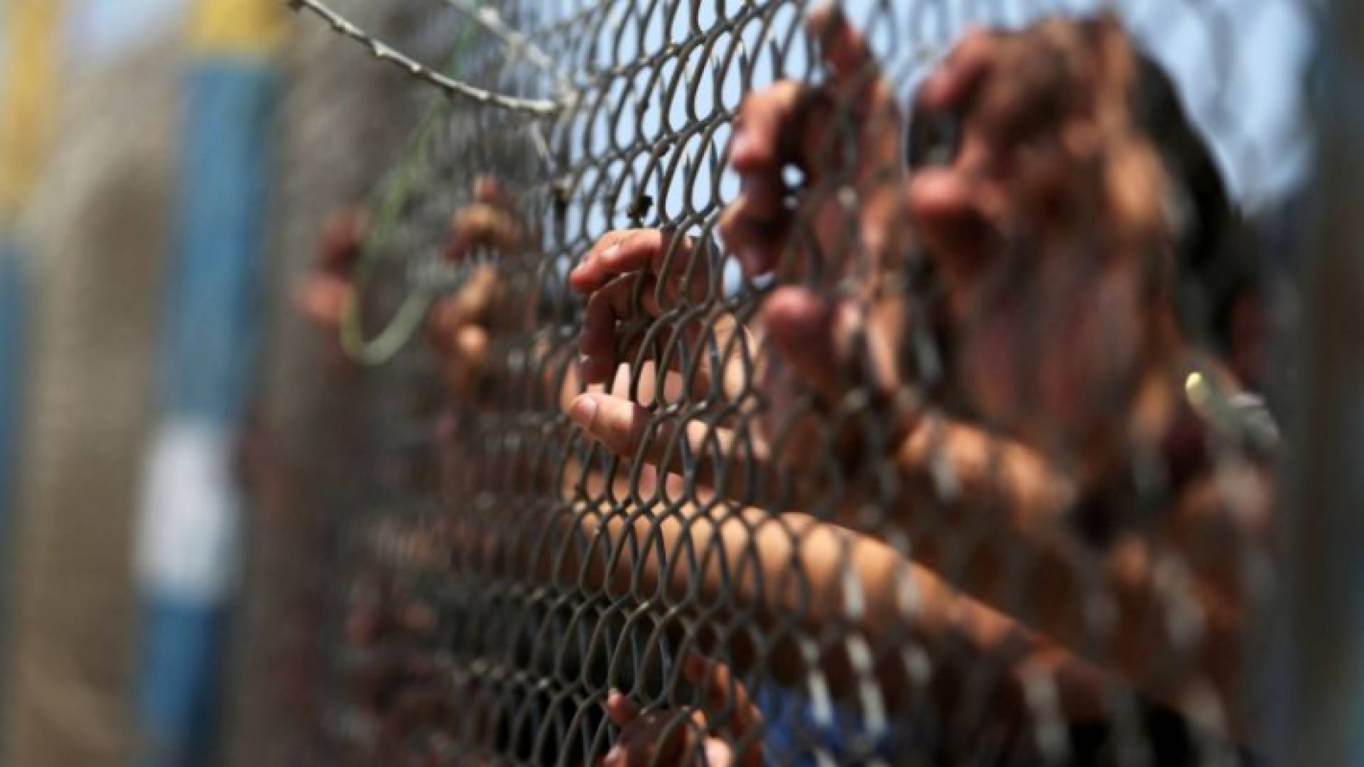 7 أسرى في سجون الاحتلال يواصلون الإضراب عن الطعام