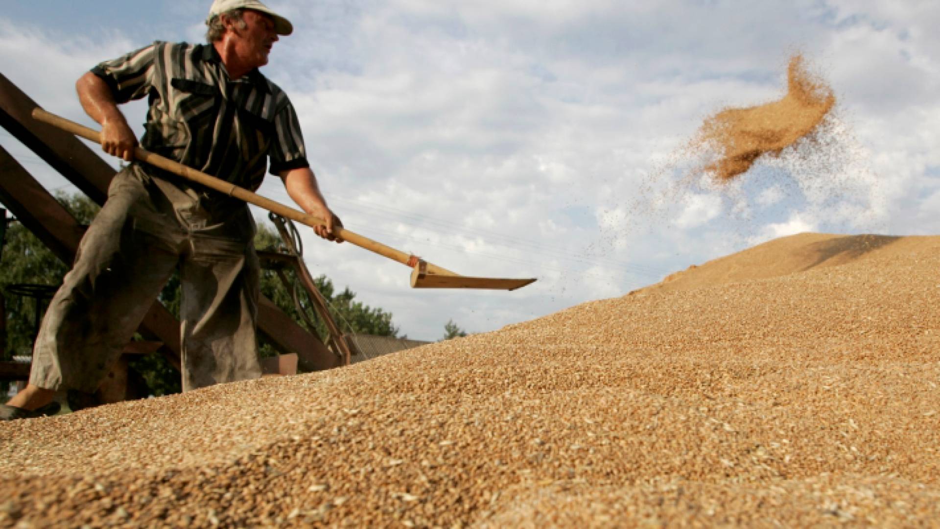 تم تشميع مخازن الحبوب