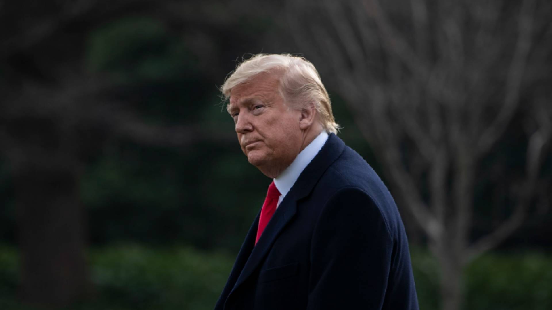 الرئيس الأمريكي السابق دونالد ترمب