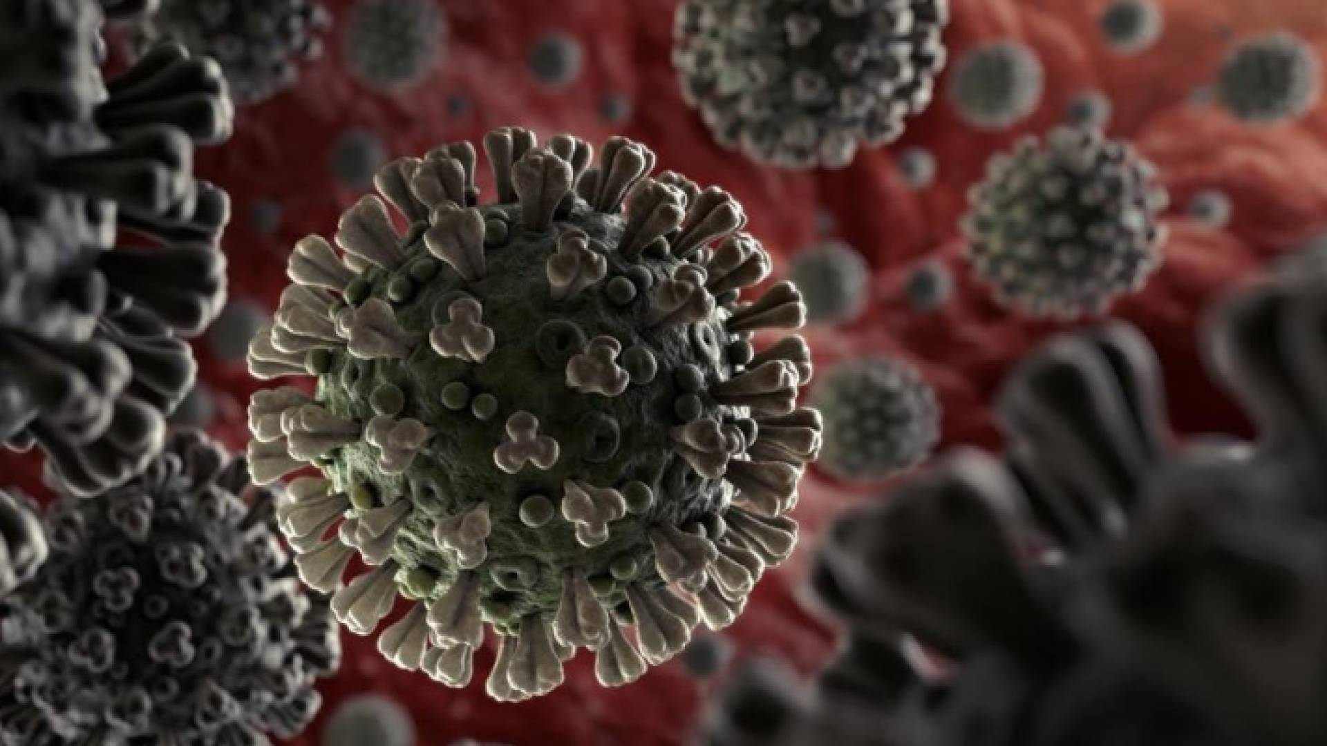 فيروس دلتا المتحور من كورونا