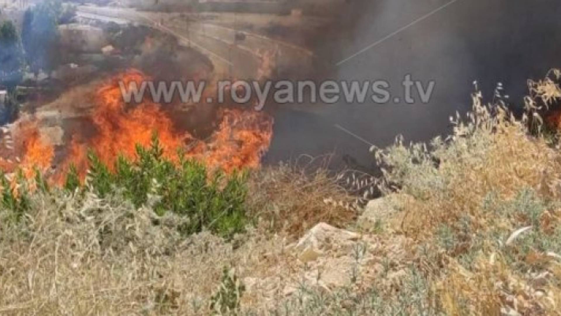 إربد: اخماد حريق اعشاب بمحيط خزان زبدا