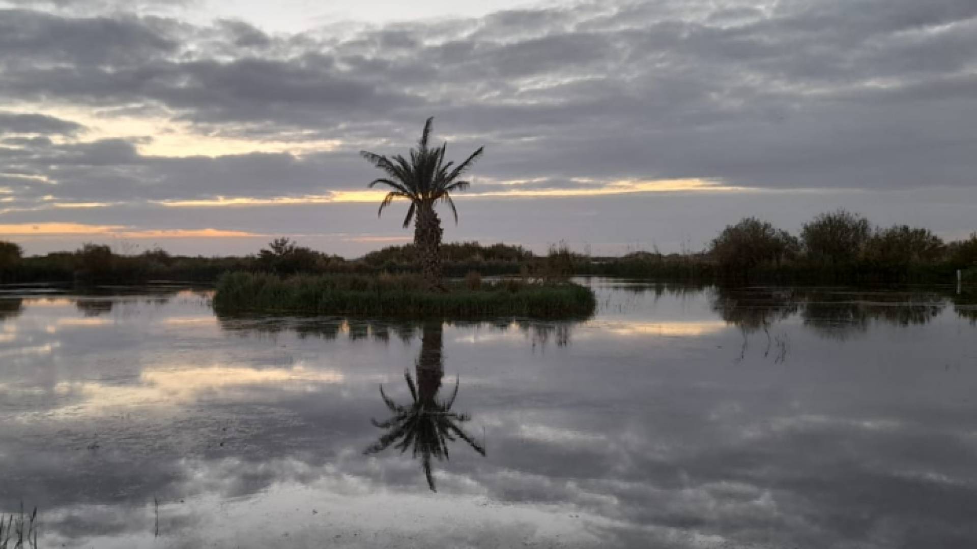 محمية الأزرق المائية