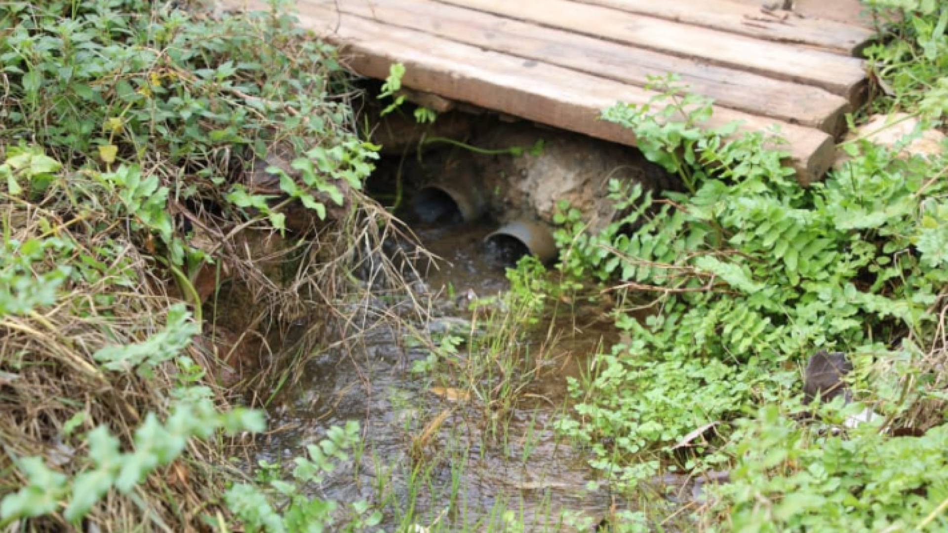 أحد الينابيع في جرش