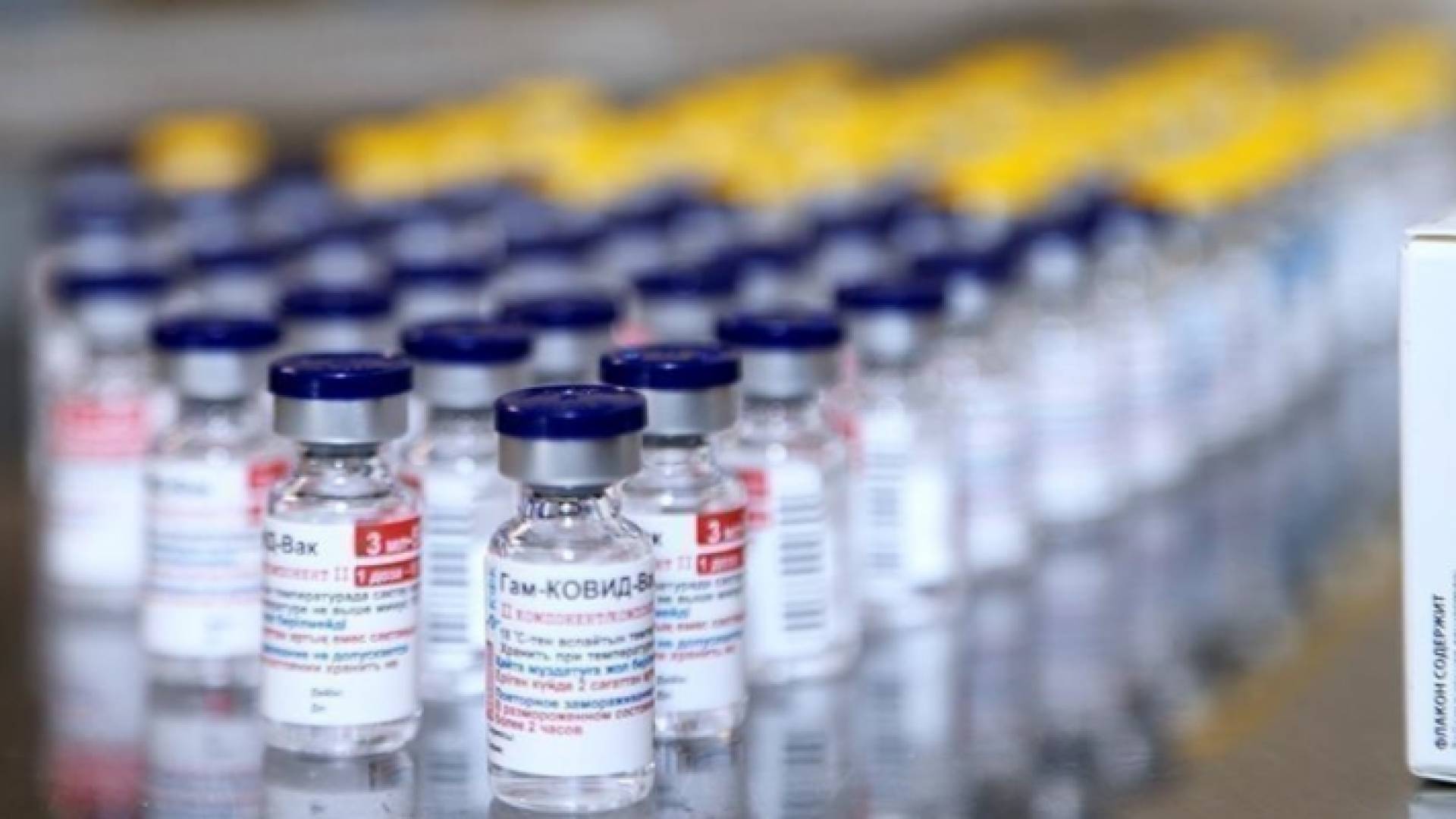 لقاحات كورونا - ارشيفية