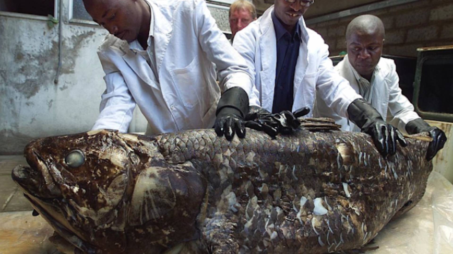 السمكة تنمو بوتيرة شديدة البطء