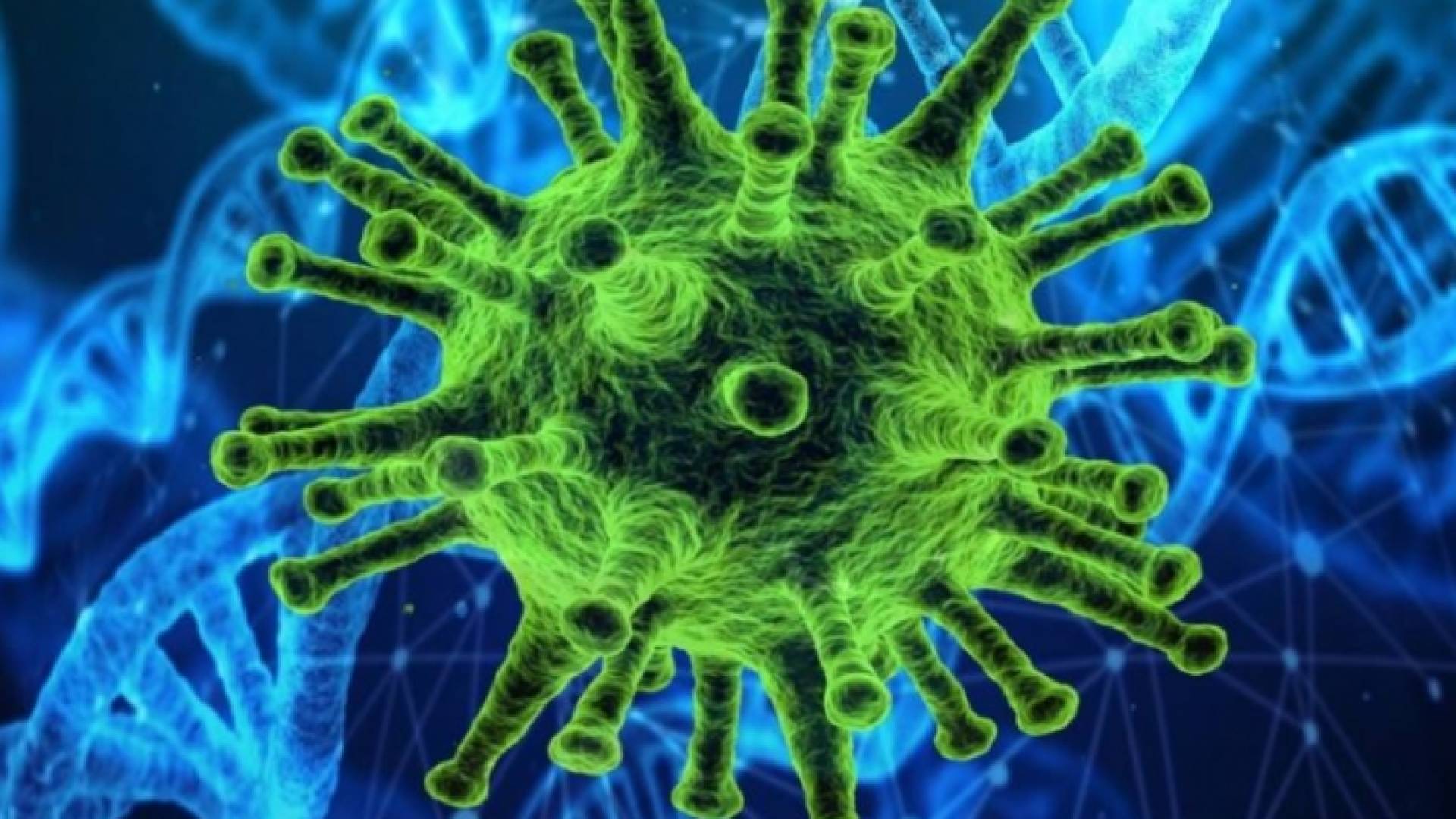 يمكن أن يحدث داء الرشاشيات بمجرد استنشاق جراثيم مجهري