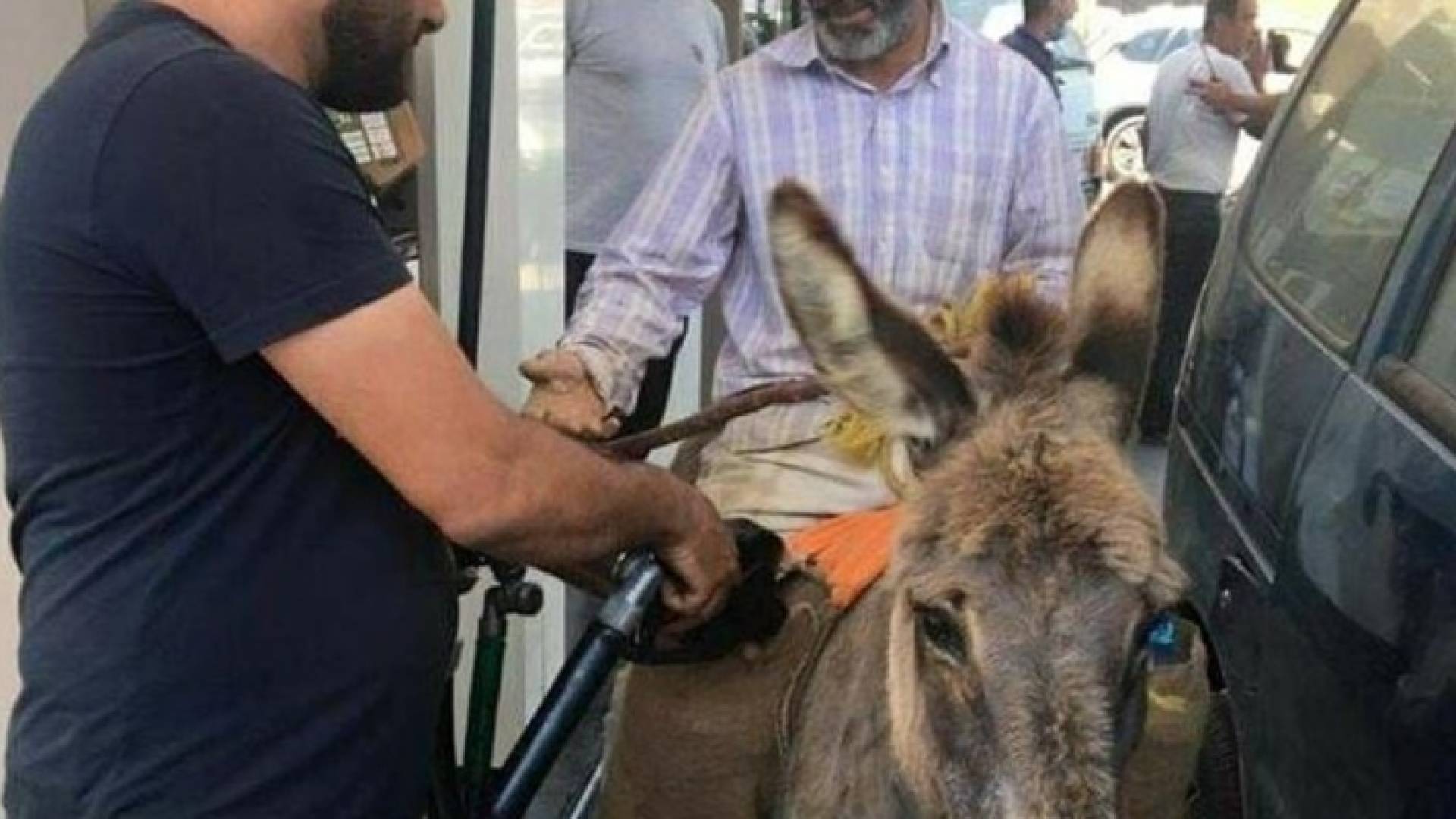 مواطن لبناني يصل إلى محطة الوقود على الحمار للحصول على البنزين - فيديو