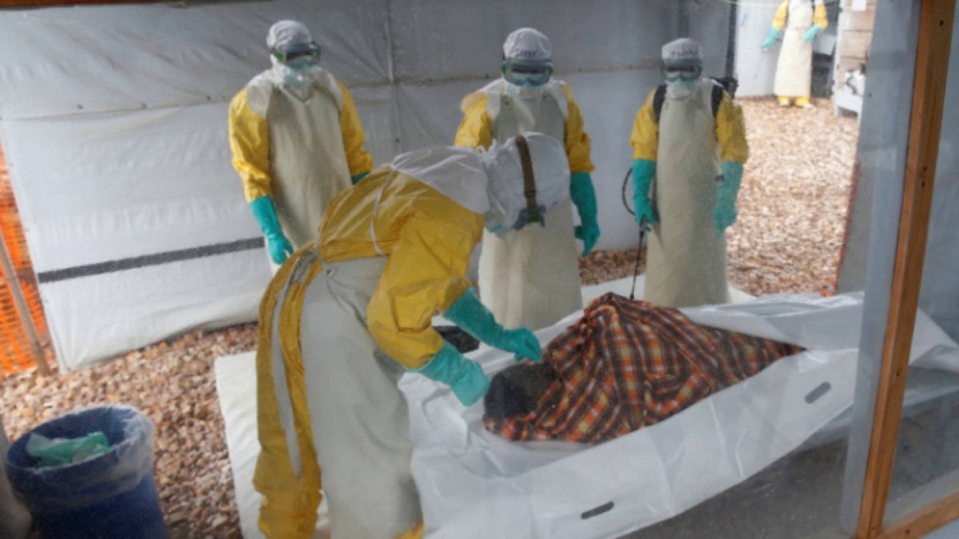 خلال معاينة أحد المصابين بإيبولا في غينيا