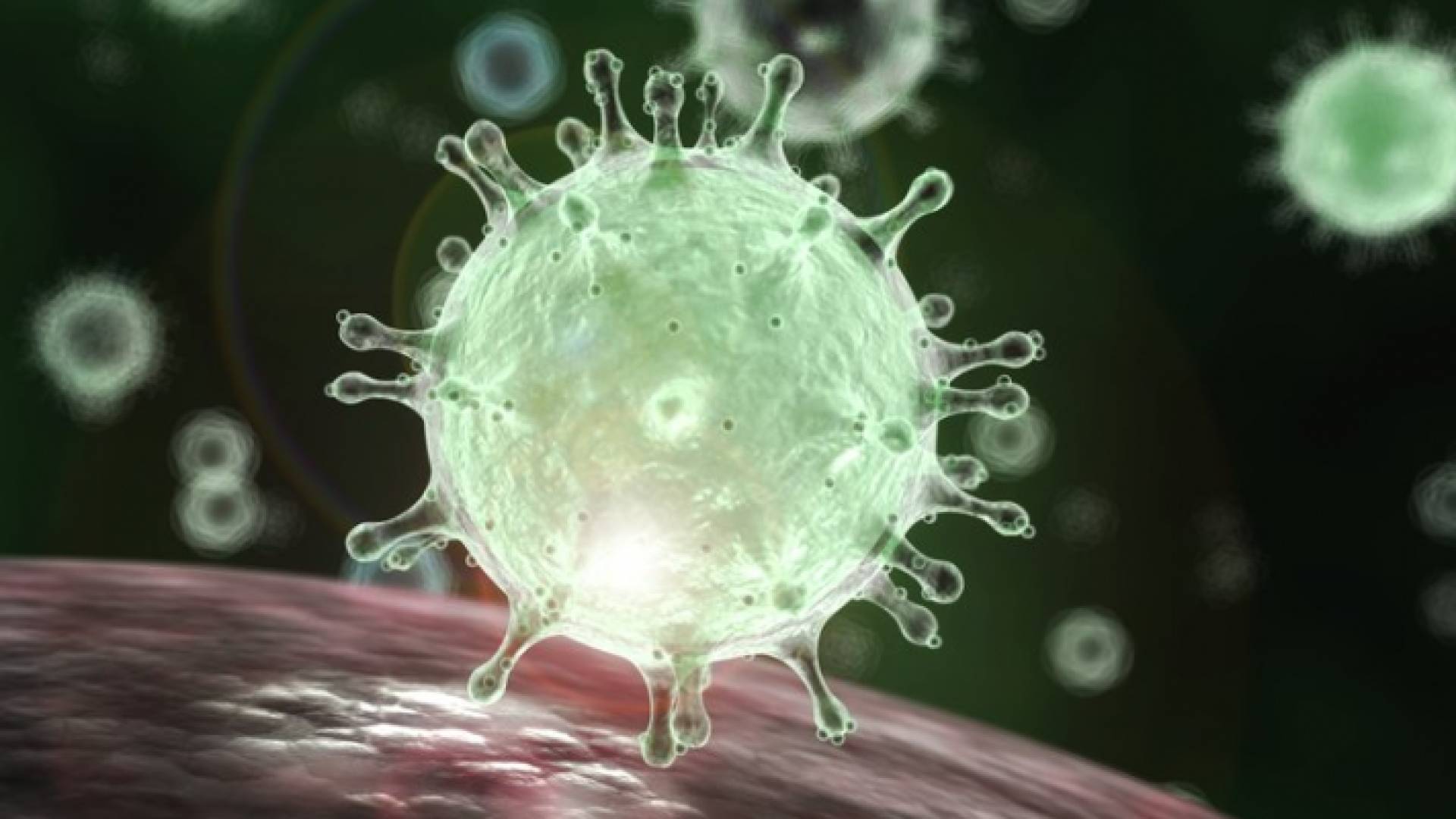 الصورة تعبيرية