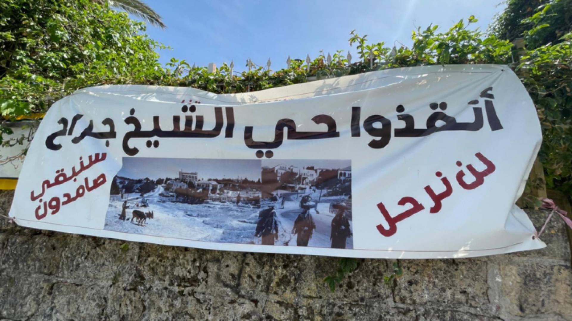 حي الشيخ جراح