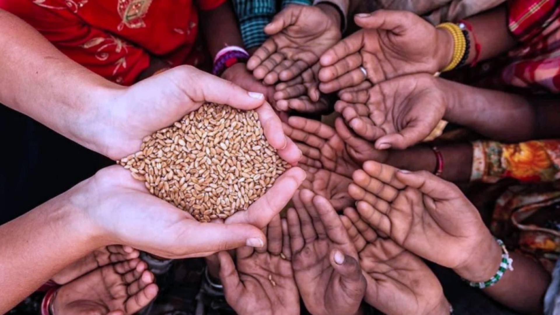 الظواهر المناخية القصوى التي باتت أكثر تواترا بسبب الاحترار