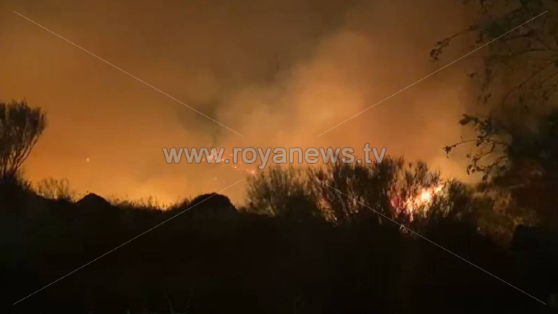 الصورة من الحريق