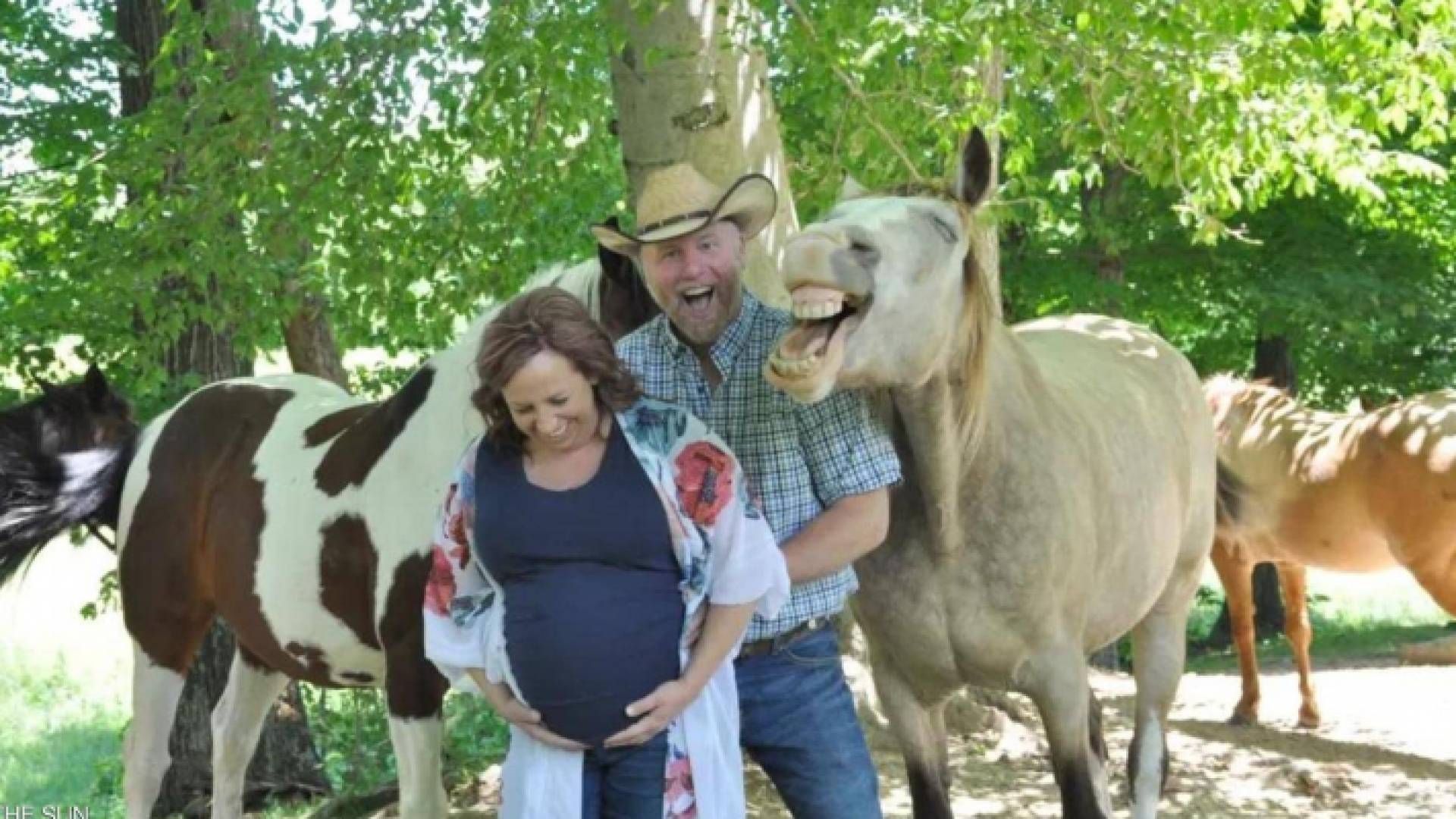 الجواد الضاحك يسرق الأضواء في لقطات الأمومة