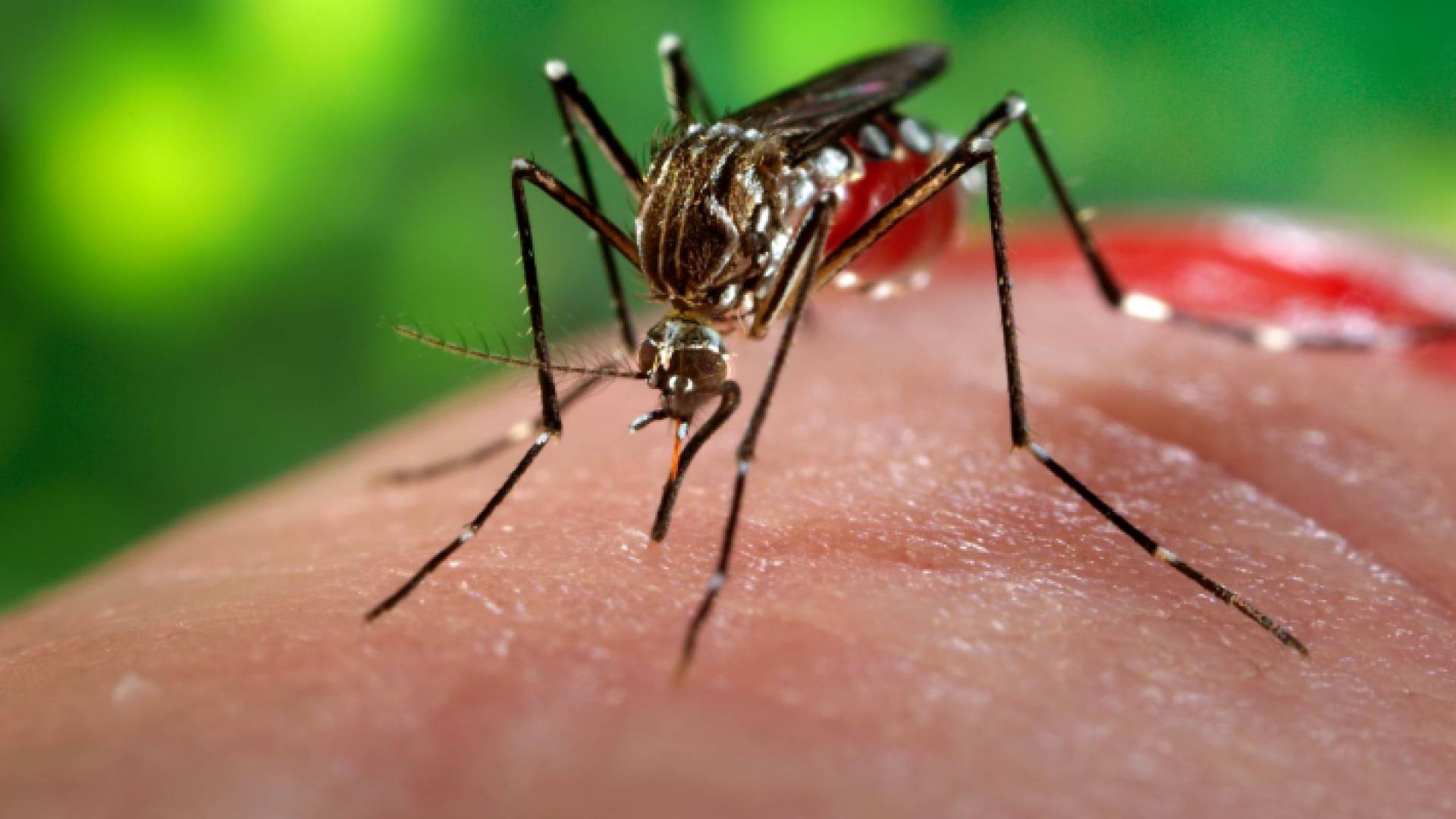 الصورة تعبيرية