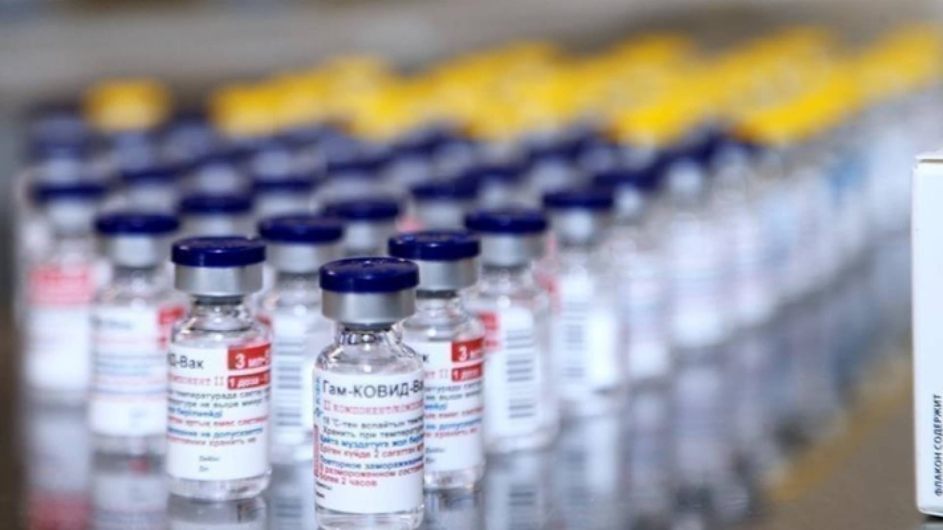 لقاحات مضادة لفيروس كورونا