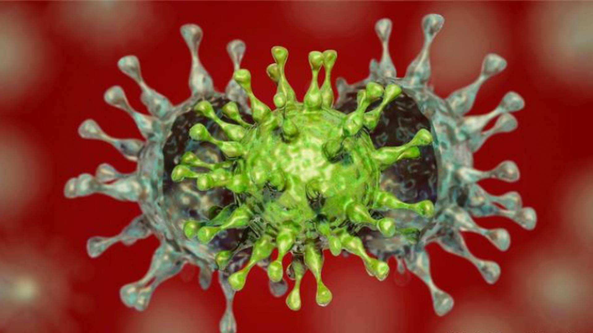 الصورة تعبيرية