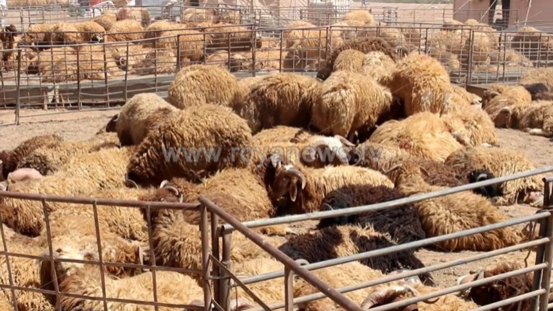 الصورة ارشيفية